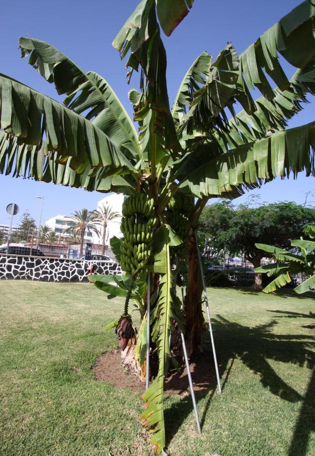 Fantastic Apartment With Sea Views Playa del Inglés Esterno foto